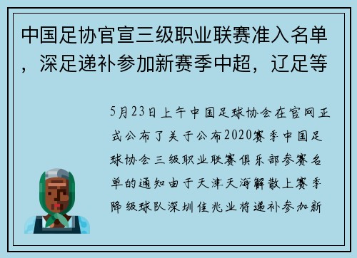 中国足协官宣三级职业联赛准入名单，深足递补参加新赛季中超，辽足等11家俱乐部被取消注册资格
