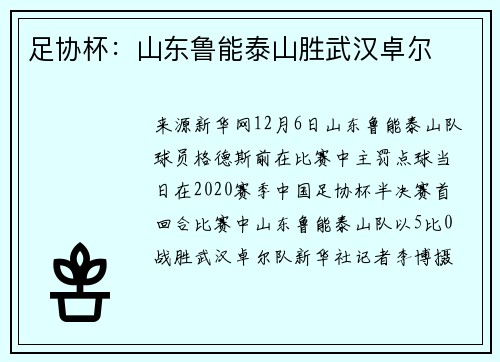 足协杯：山东鲁能泰山胜武汉卓尔